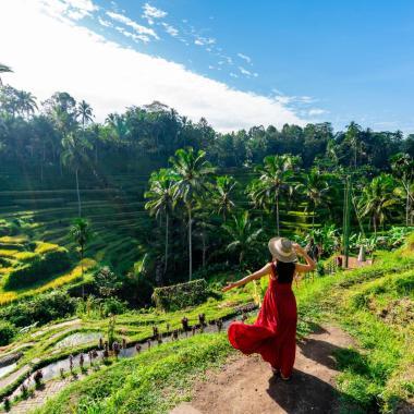 ubud view