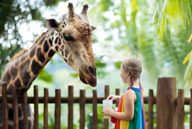 Top Nature Activities for Toddlers in Bali: A Guide to Outdoor Fun