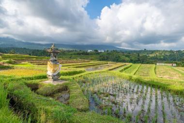 The Wonders of ‘Subak’ Irrigation System